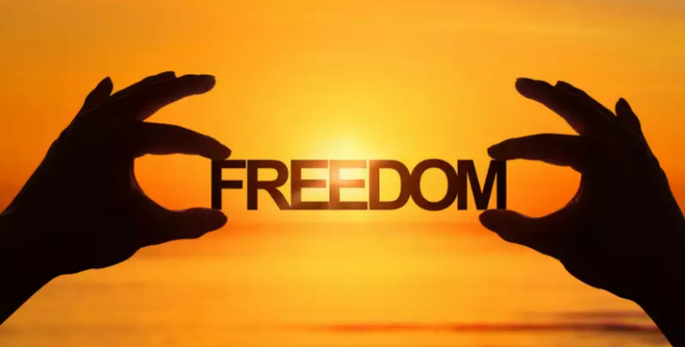 freedom 768x390